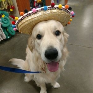 Meet your Posher, Estelle